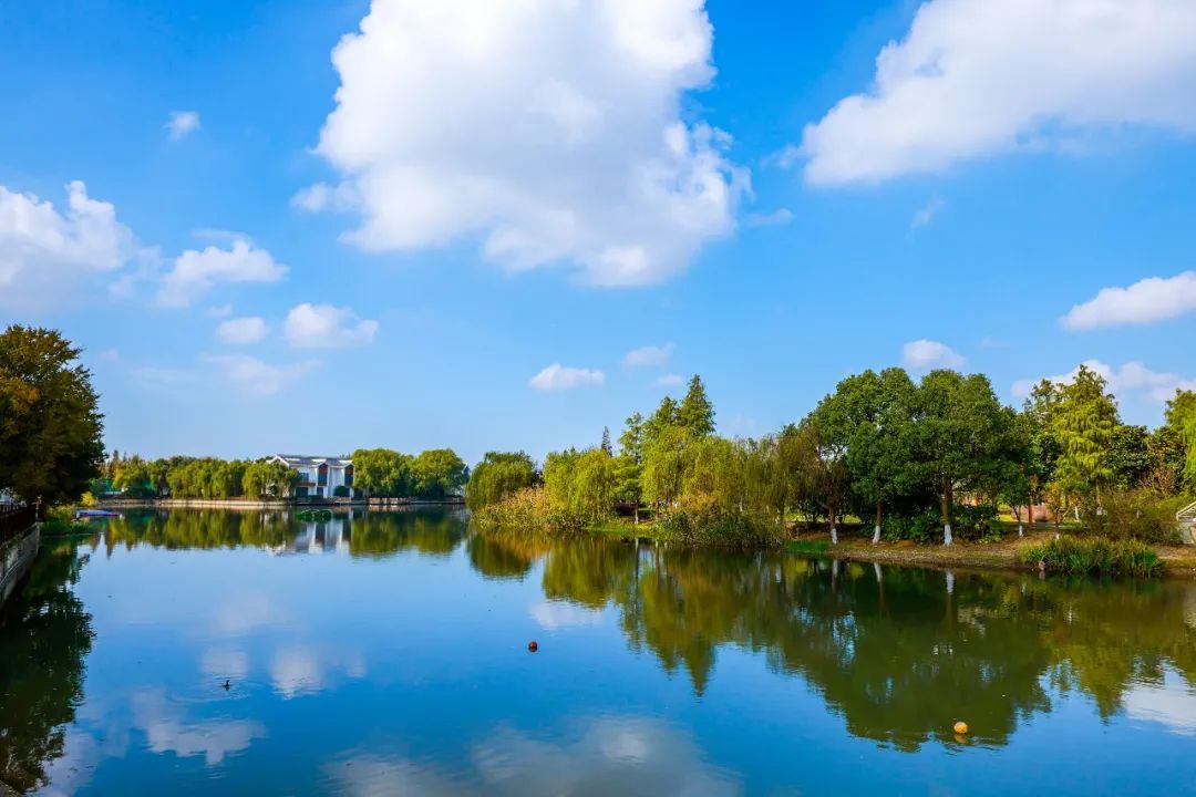 Congratulations! Three Griggs/GIA affiliated schools in China are rated as the top 100 international schools with the best comprehensive strength by Forbes!