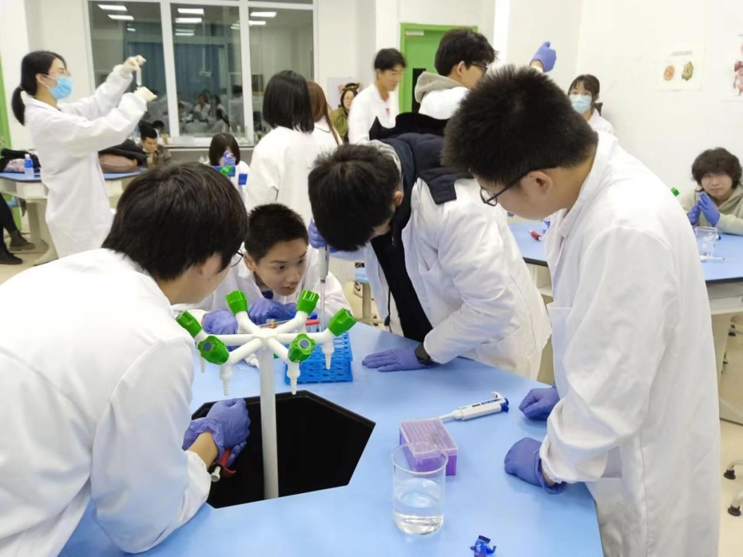 ROS Terminator to iGEM